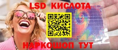спиды Донской