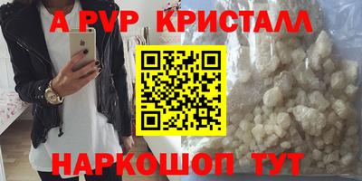 спиды Донской