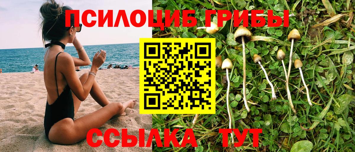 Псилоцибиновые грибы Cubensis  Галлюциногенные грибы прущие грибы  Вход с VPN  Лесной 