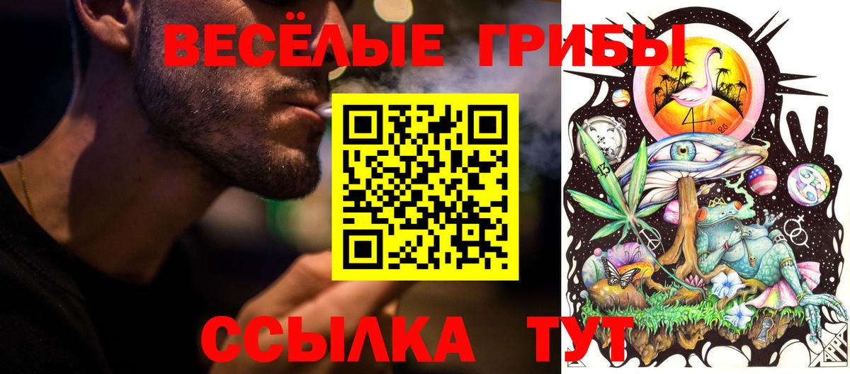 Галлюциногенные грибы GOLDEN TEACHER Лесной