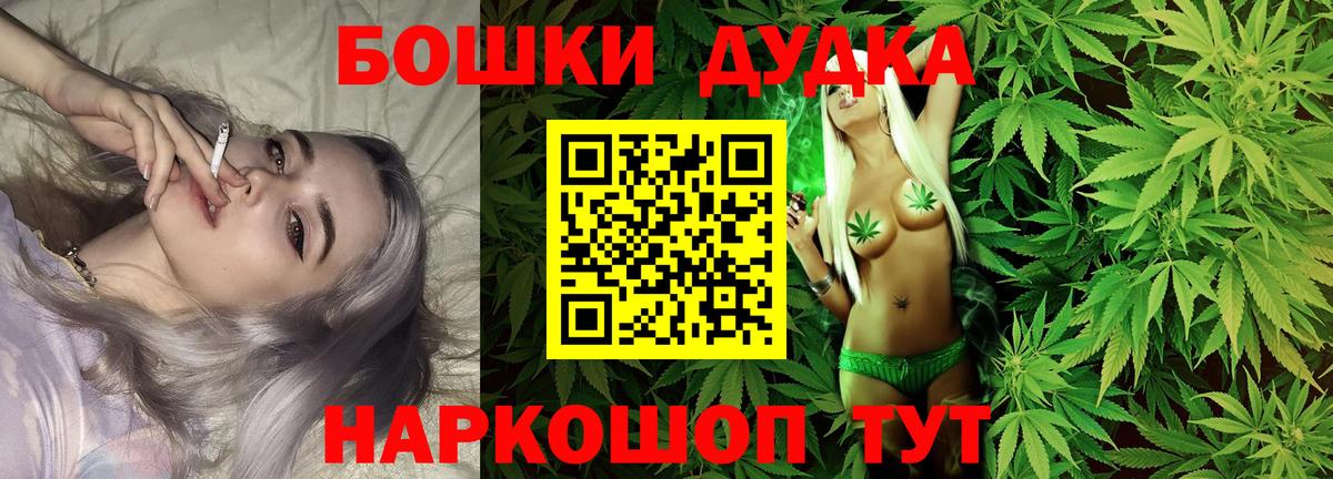 Каннабис планчик  Вход с VPN  Бошки Шишки планчик  Лесной 